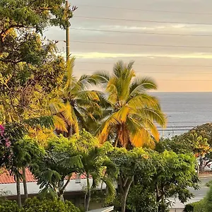 Casa Tropical Kona Apartment